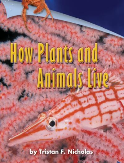 How Plants and Animals Live英语绘本翻译及pdf资源下载