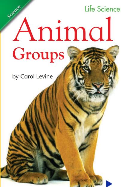 Animal Groups英语绘本翻译及pdf资源下载