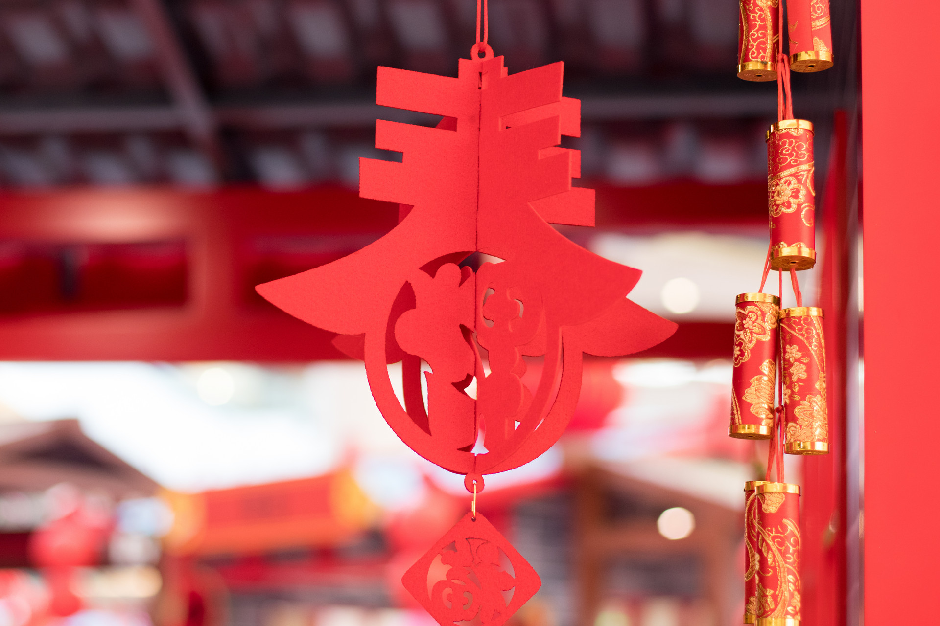 一年级关于过新年的作文