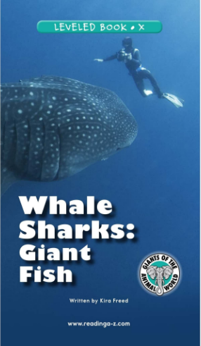 raz x级阅读Whale Sharks Giant Fish绘本PDF+音频百度网盘免费下载