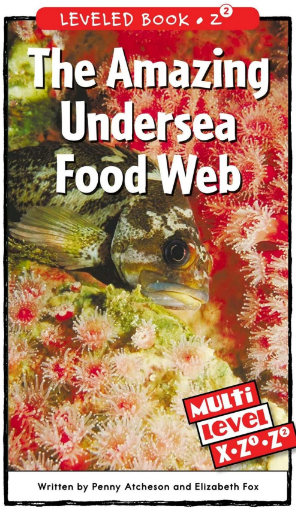 raz Z2级阅读The Amazing Undersea Food Web绘本PDF+音频资源免费下载