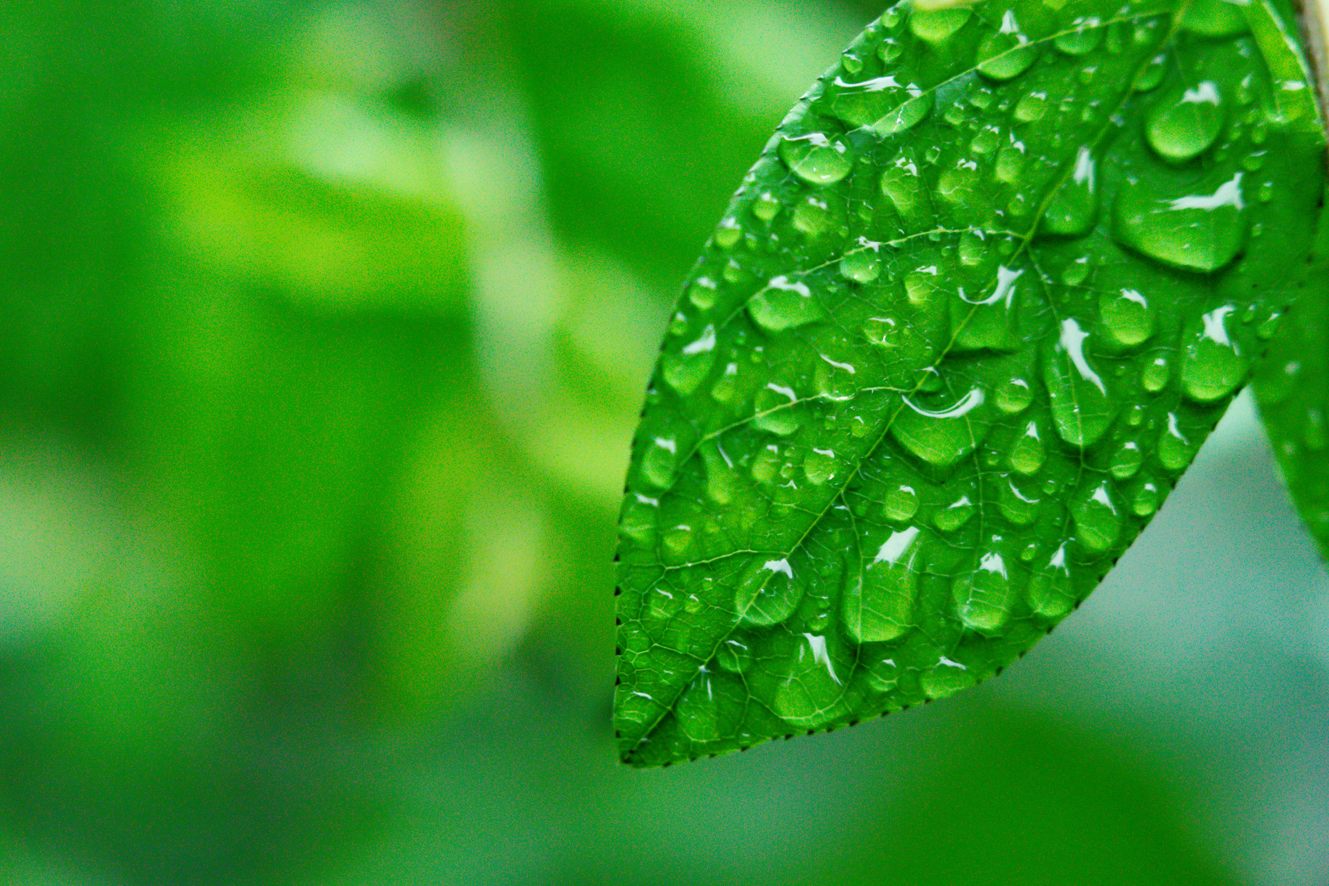2022年雨水节气可以结婚吗