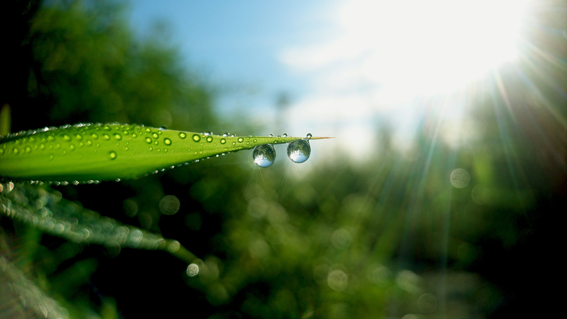 白露是什么季节的节气