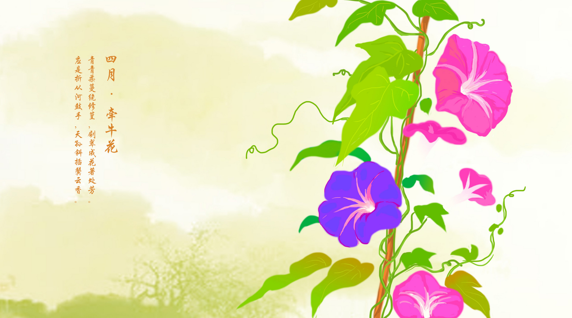 我爱牵牛花作文400字