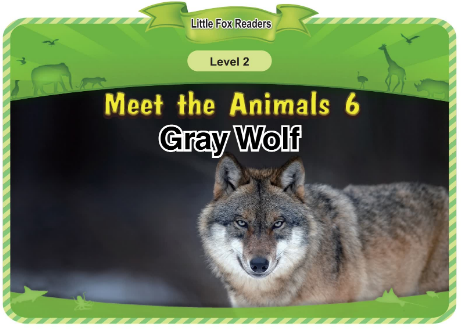 Meet the Animals 6 Gray Wolf音频+视频+电子书