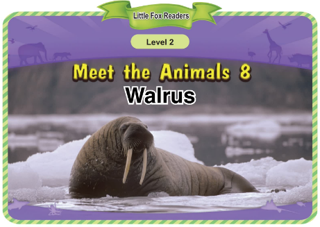 Meet the Animals 8 Walrus音频+视频+电子书百度云免费下载