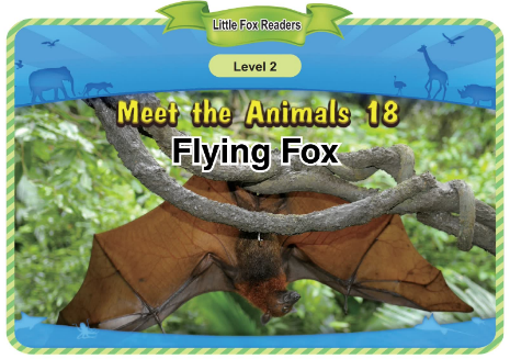 Meet the Animals 18 Flying Fox音频+视频+电子书百度云免费下载