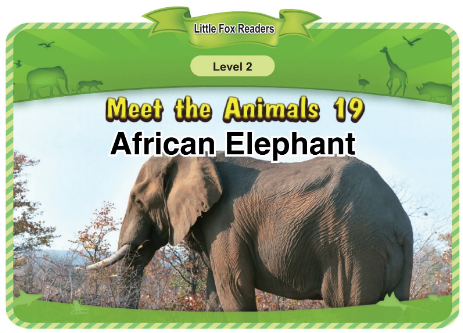 Meet the Animals 19 African Elephant音频+视频+电子书百度云免费下载