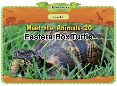 Meet the Animals 20 Eastern Box Turtle音频+视频+电子书百度云免费下载