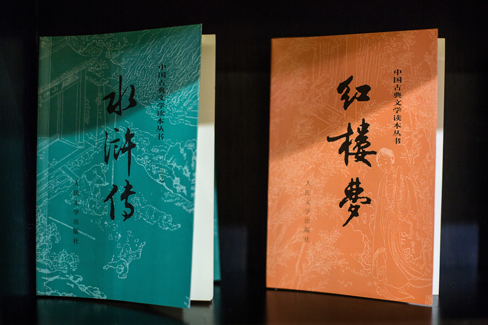 小学五年级作文我与四大名著450字左右