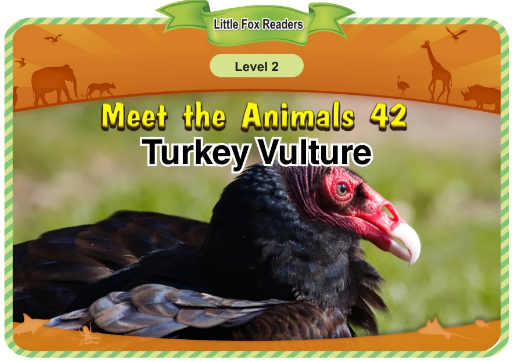 Meet the Animals 42 Turkey Vulture音频+视频+电子书百度云免费下载