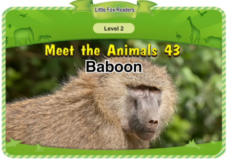 Meet the Animals 43 Baboon音频+视频+电子书百度云免费下载