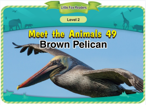 Meet the Animals 49 Brown Pelican音频+视频+电子书百度云免费下载