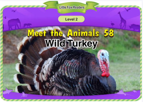 Meet the Animals 58 Wild Turkey音频+视频+电子书百度云免费下载