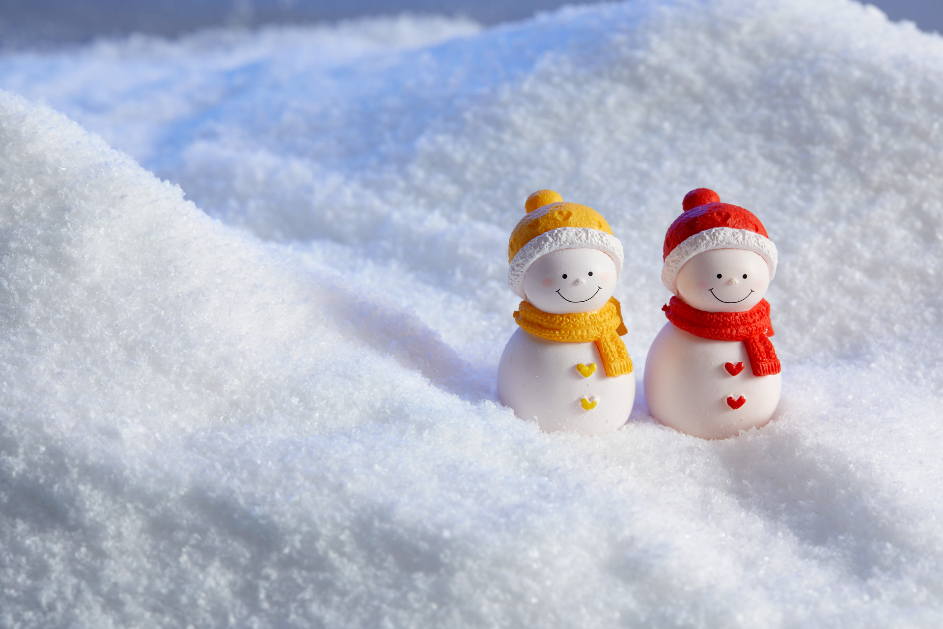 落雪了作文500字