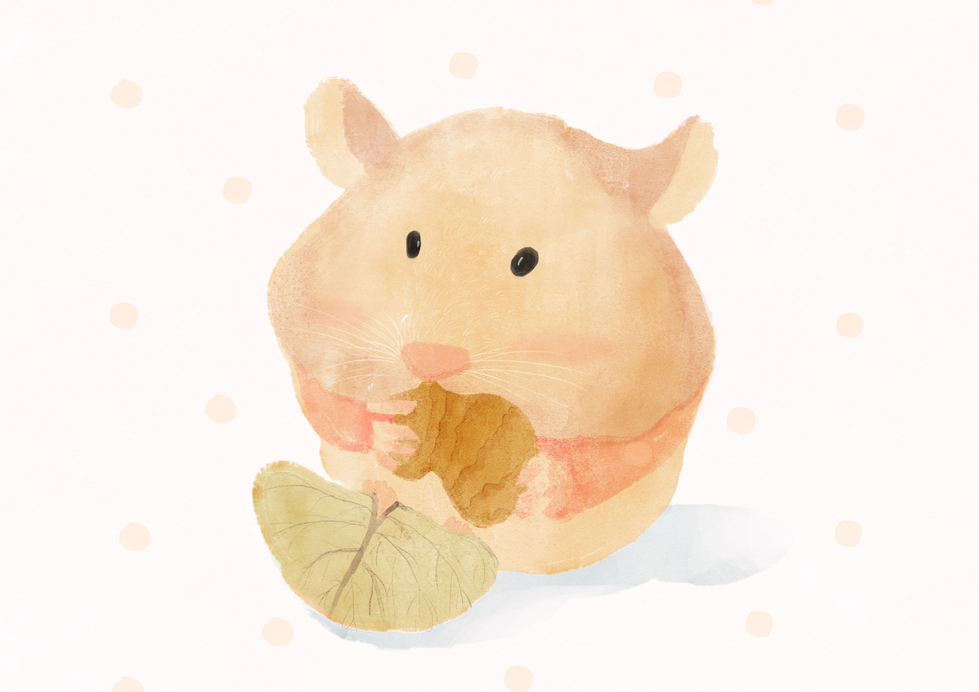 小仓鼠历险记作文1200字