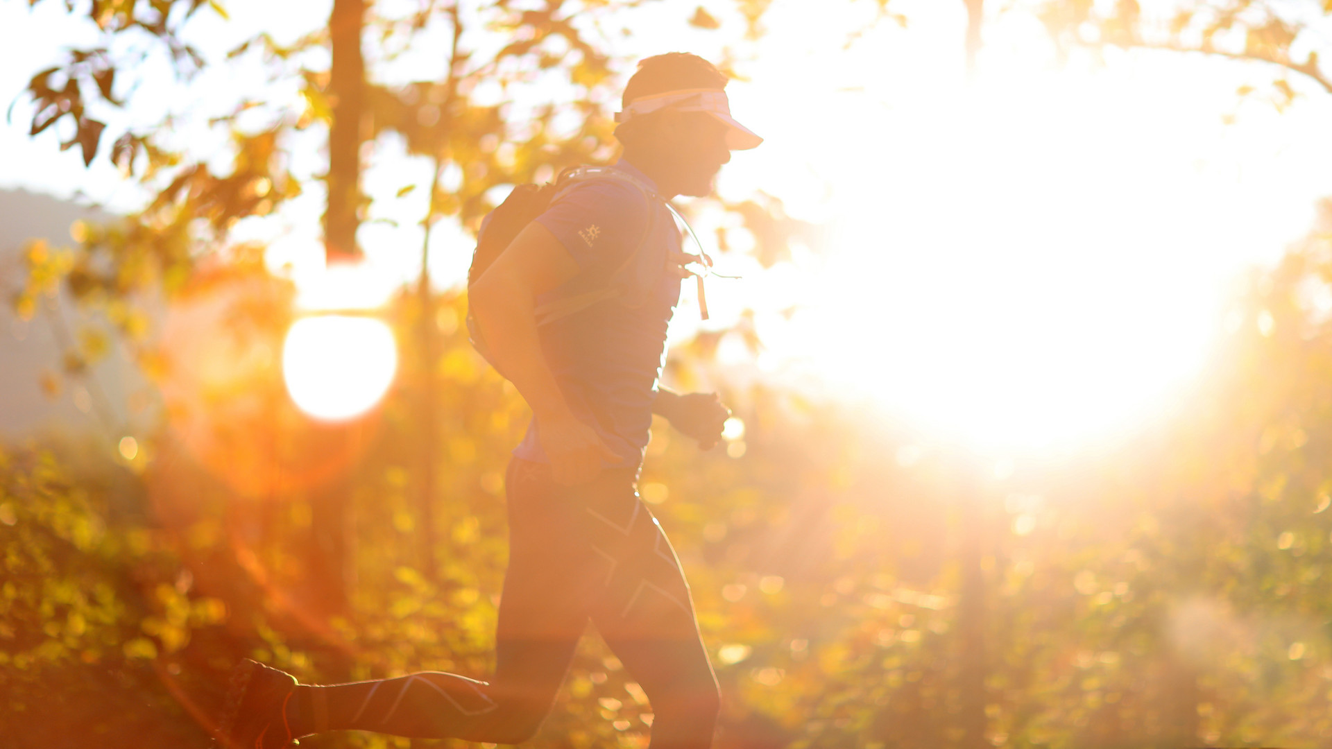 隙缝中的阳光作文600字