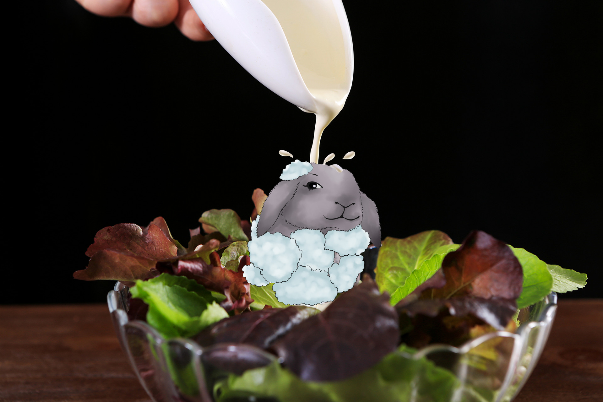 家有“黑球”作文1000字