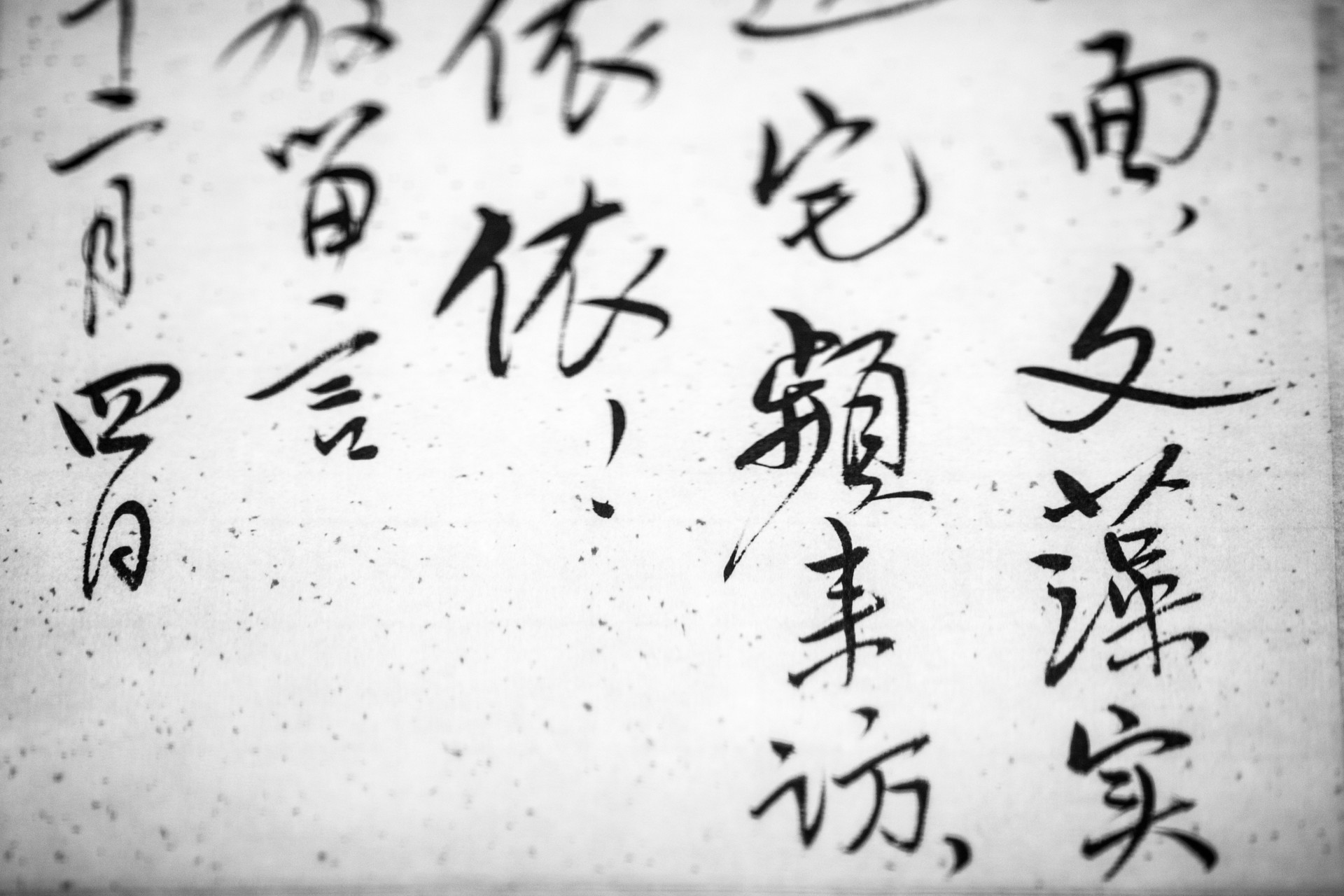 汉字英雄作文500字