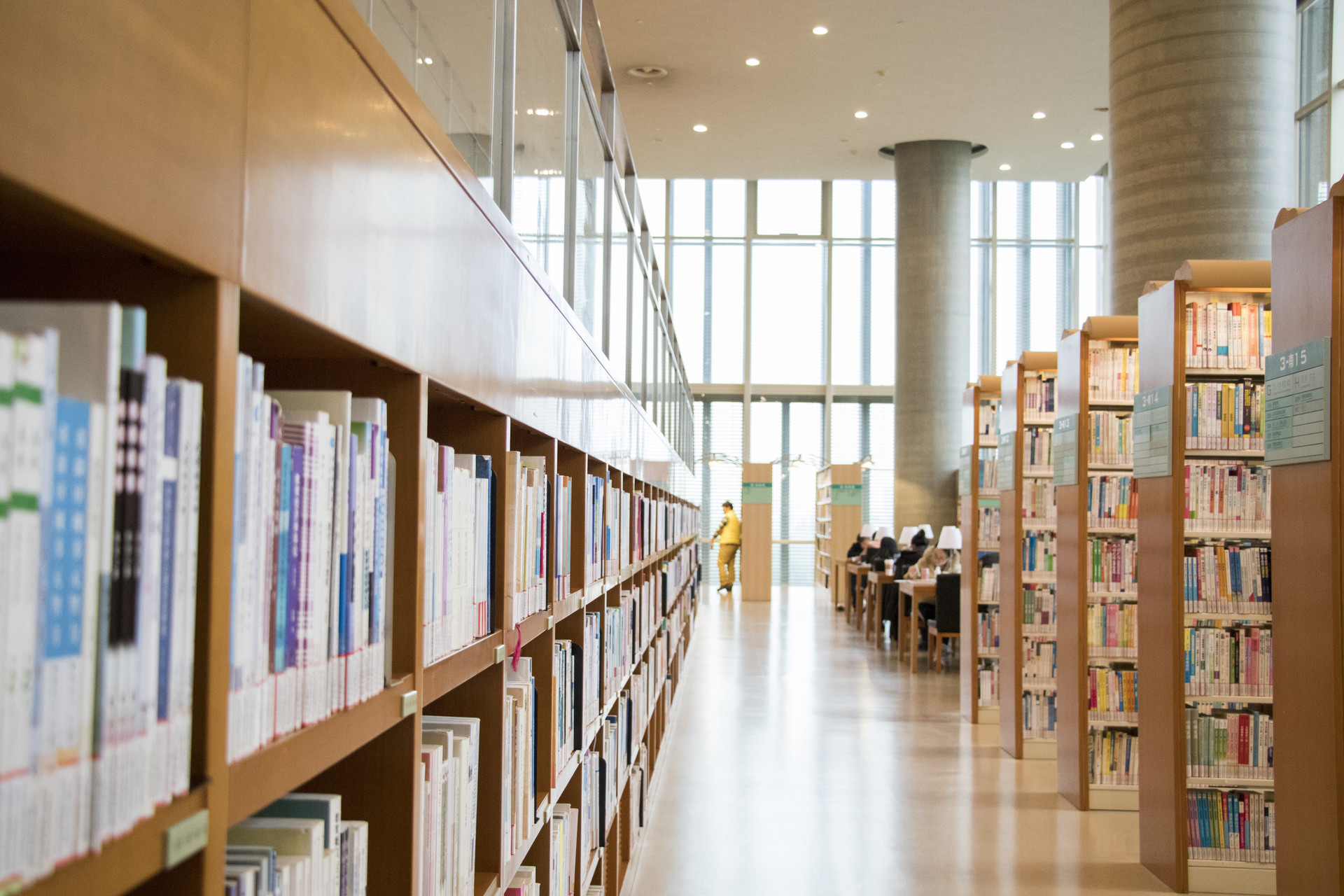 第一次借书作文600字