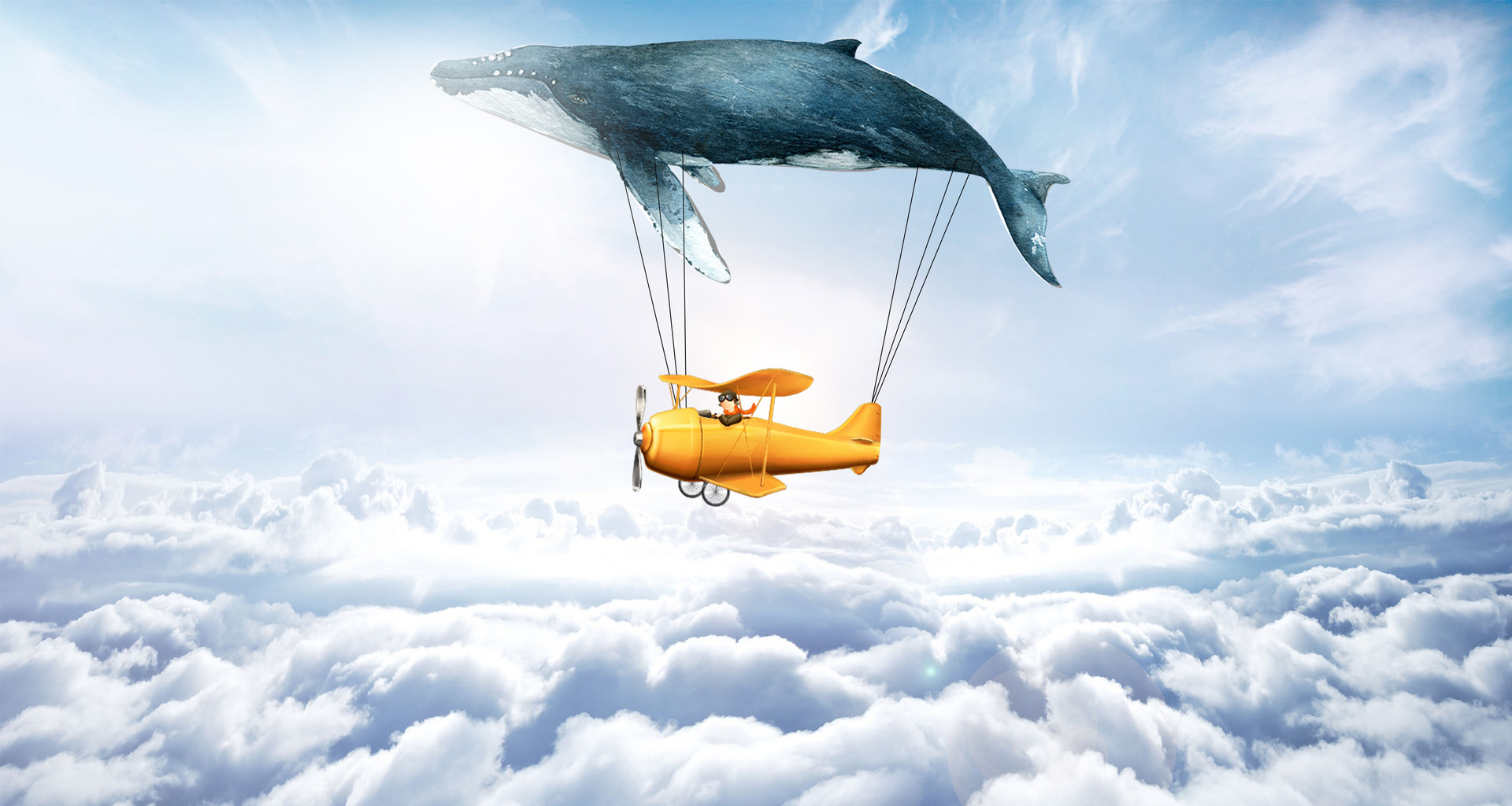 假如我会七十二变小作文100字