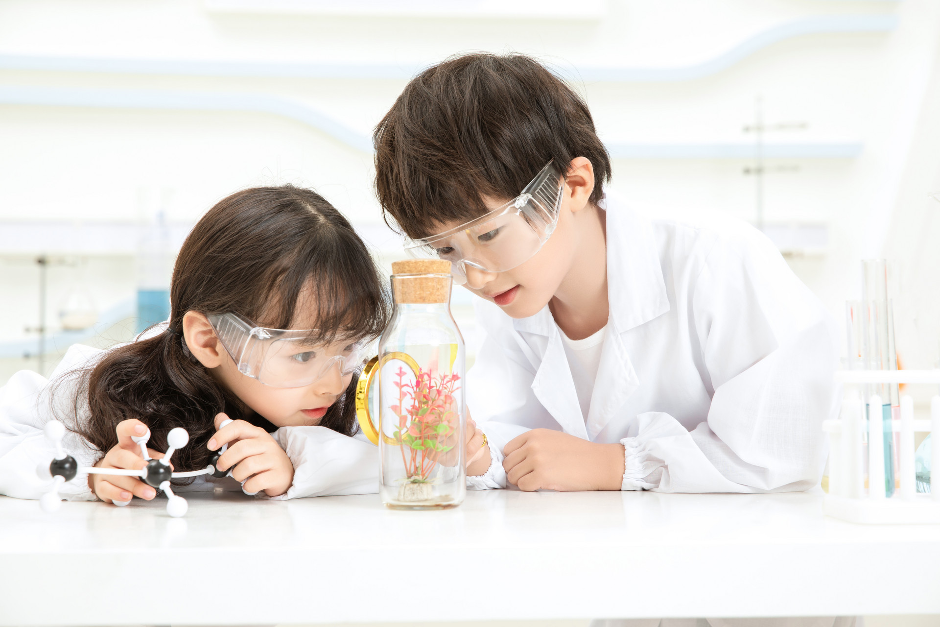 一堂有趣的科学课三年级作文