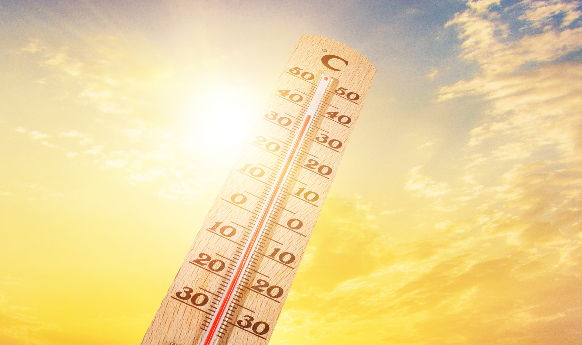 酷热的盛夏450字作文