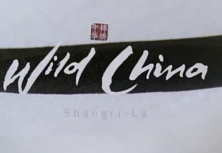 BBC美丽中国1-6集纪录片百度网盘资源下载