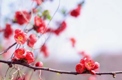 新妈妈春天坐月子的注意事项