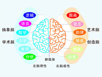 开发宝宝右脑的12个妙招