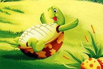 儿童故事视频：想飞的乌龟