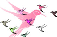 儿童寓言故事：燕子与鸟类