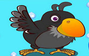 童话故事作文400字：乌鸦的羽毛