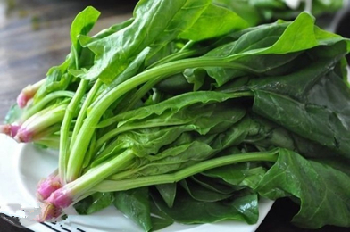 啥时候种菠菜怎么种 201506121755188429.jpg