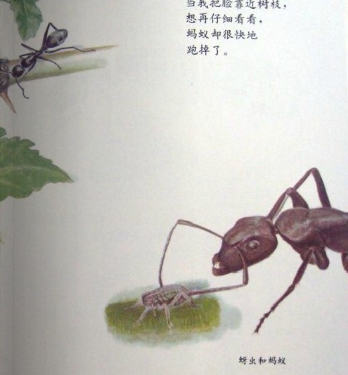 201301041101499309.jpg