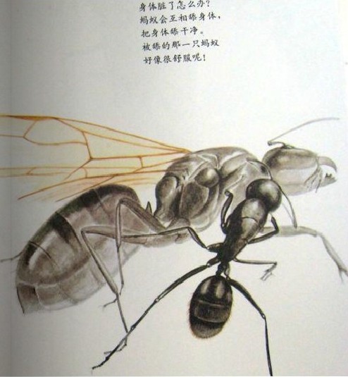 201301041101546334.jpg