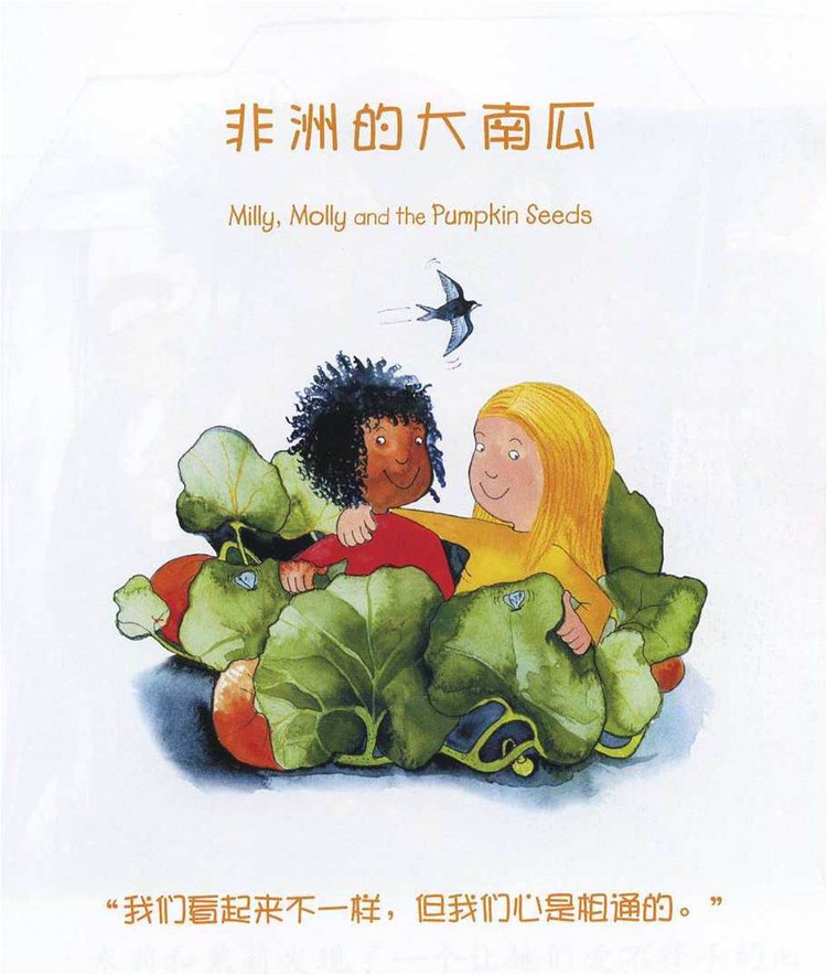 幼儿绘本故事:《非洲的大南瓜》